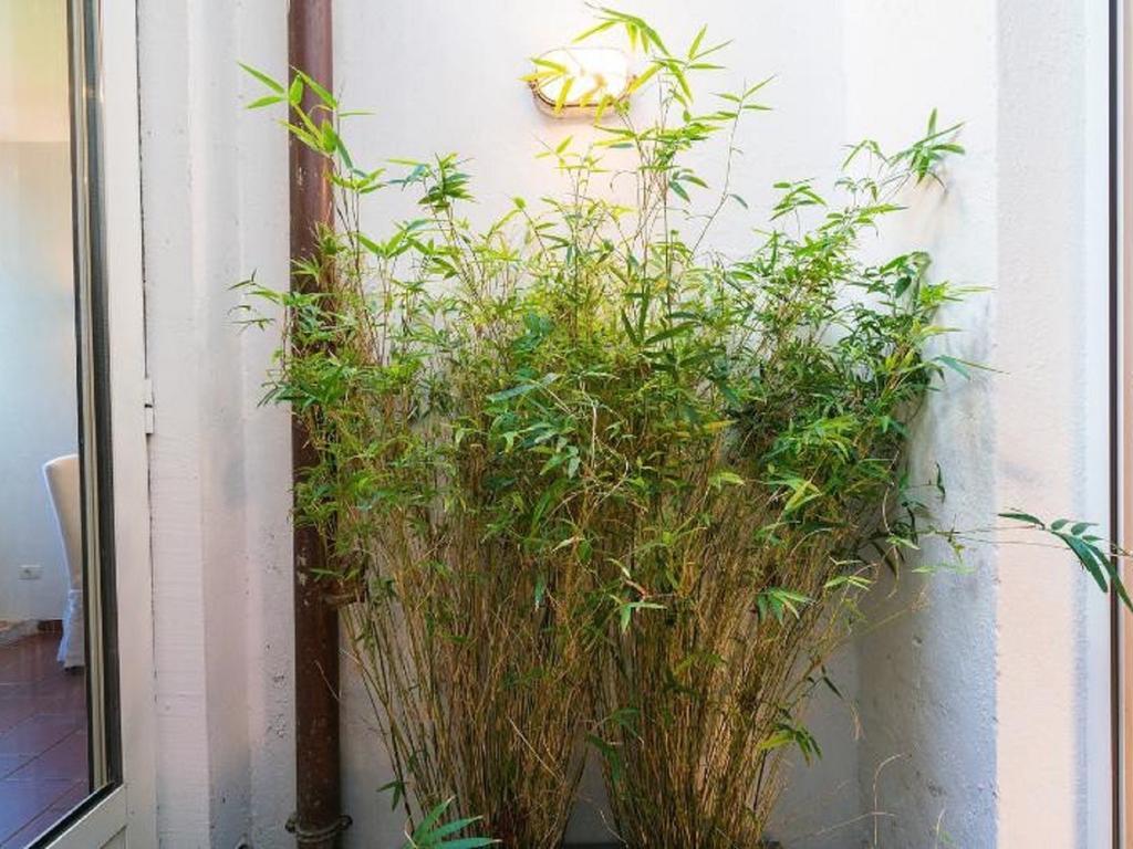 Appartamento Garibaldi Roof Garden